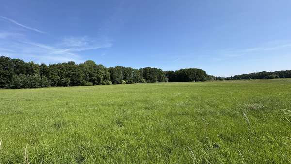 Ansicht von der Straße - Grundstück in 29451 Dannenberg mit 20026m² kaufen