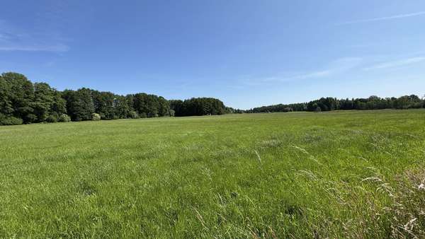 Ansicht von der Straße - Grundstück in 29451 Dannenberg mit 20026m² kaufen