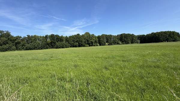 Ansicht von der Straße - Grundstück in 29451 Dannenberg mit 20026m² kaufen