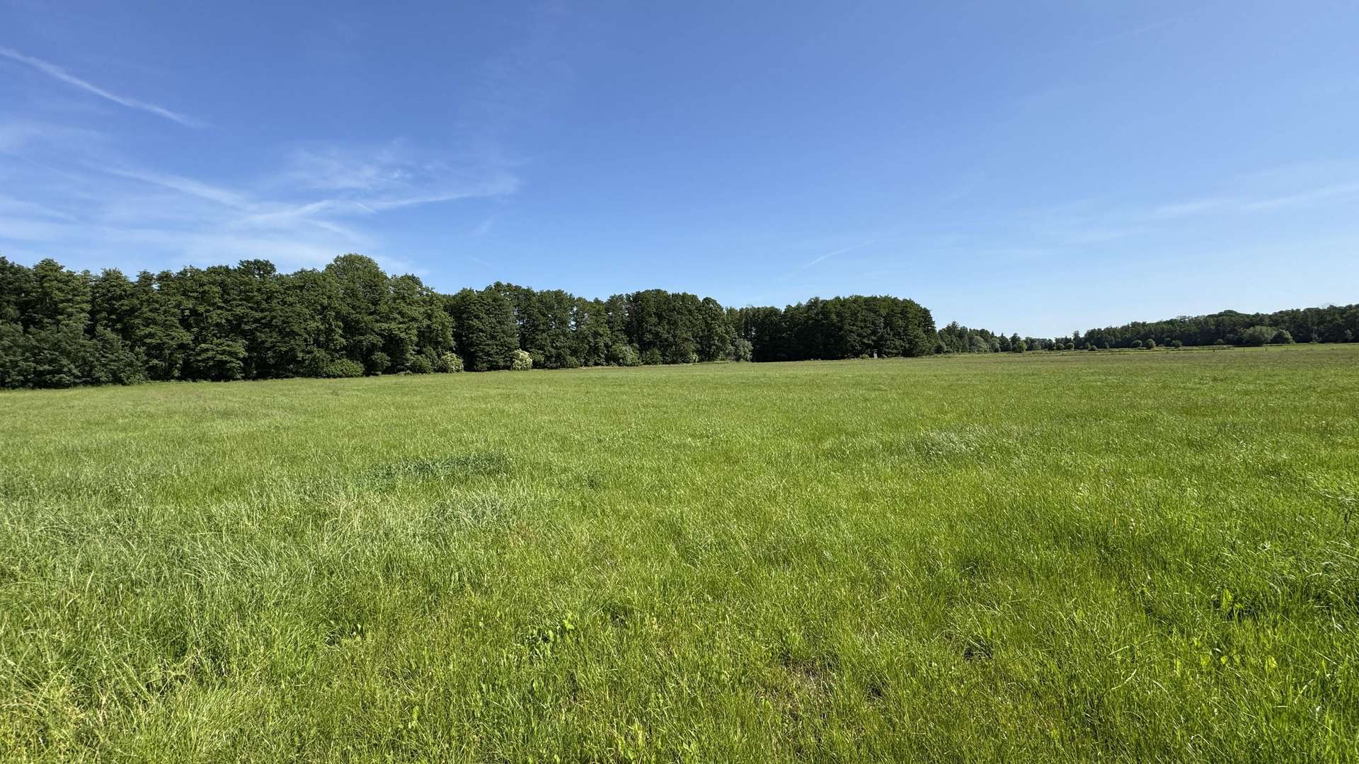 Ansicht von der Straße - Grundstück in 29451 Dannenberg mit 20026m² kaufen