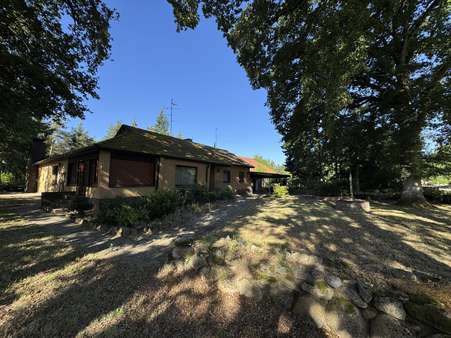 Seitenansicht vom Vorgarten - Einfamilienhaus in 29493 Schnackenburg mit 153m² kaufen