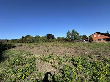Ansicht von der Straße Ansicht von der Straße - Grundstück in 29451 Dannenberg mit 2300m² kaufen
