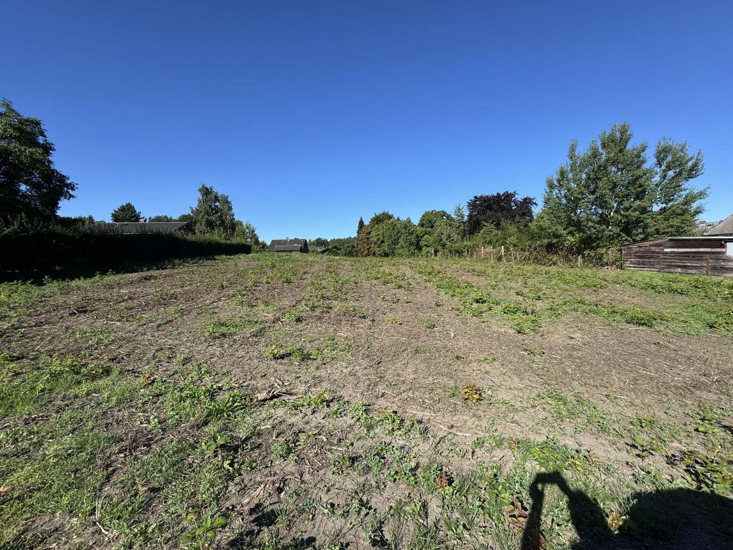 Ansicht von der Straße Ansicht von der Straße - Grundstück in 29451 Dannenberg mit 2300m² kaufen