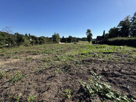 Ansicht zur Straße Ansicht zur Straße - Grundstück in 29451 Dannenberg mit 2300m² kaufen