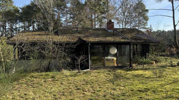 Ansicht vom Garten - Einfamilienhaus in 29475 Gorleben mit 50m² kaufen