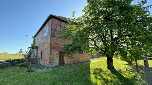 Seitenansicht - Einfamilienhaus in 29484 Langendorf mit 152m² kaufen
