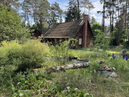 Ansicht vom Gartenteich - Einfamilienhaus in 29475 Gorleben mit 105m² kaufen