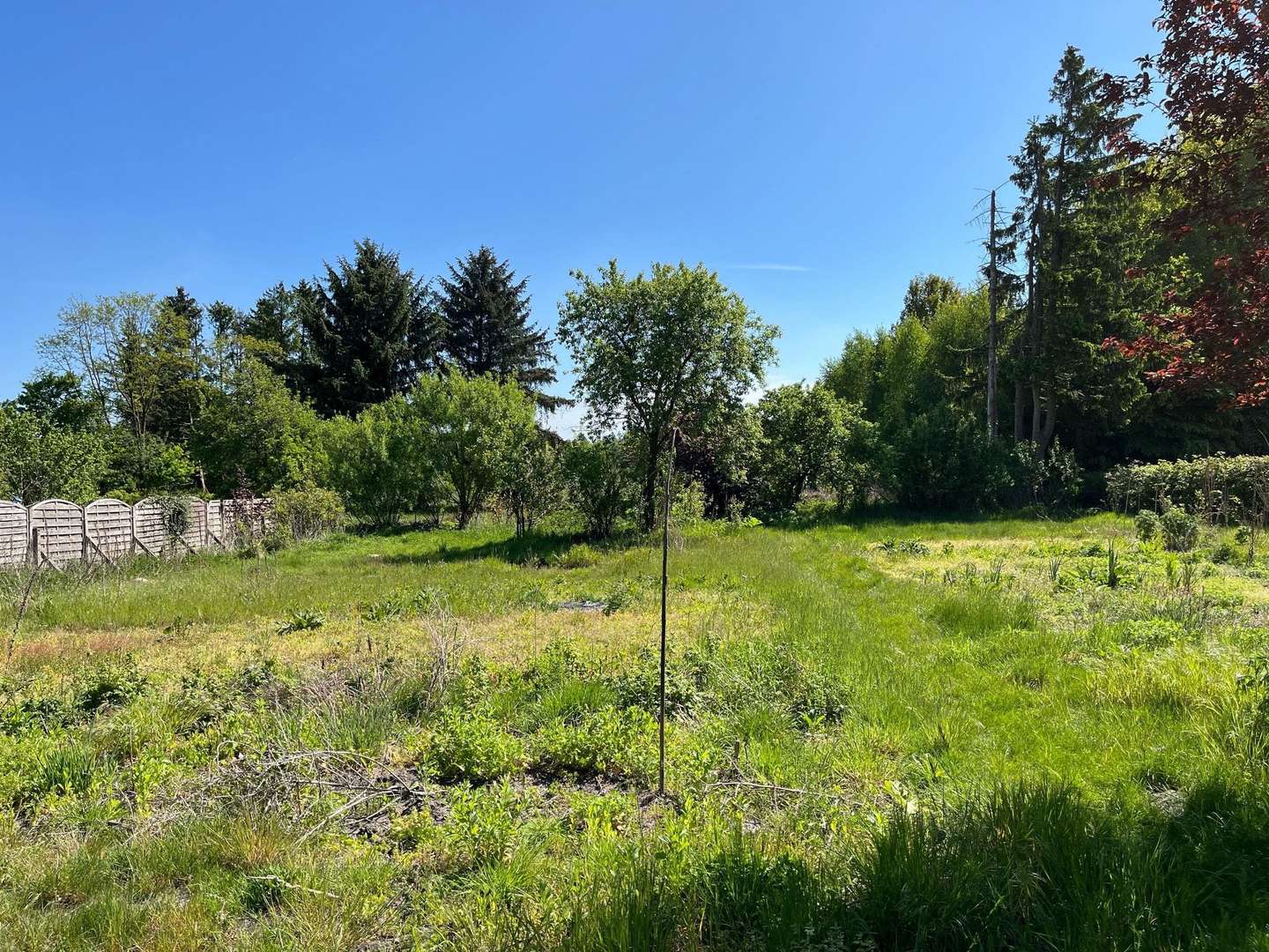 Blick ins Grundstück (vorderer Teil) Blick ins Grundstück (vorderer Teil) - Grundstück in 29683 Bad Fallingbostel, Dorfmark mit 6628m² kaufen