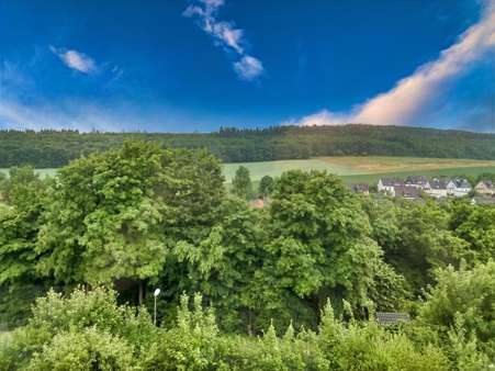 Blick aus Wohnzimmerfenster Blick aus Wohnzimmerfenster - Zweifamilienhaus in 31073 Grünenplan mit 174m² kaufen