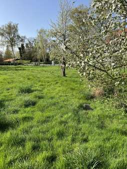 Garten - Einfamilienhaus in 31167 Bockenem mit 140m² kaufen