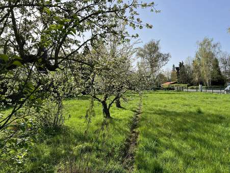 Garten - Einfamilienhaus in 31167 Bockenem mit 140m² kaufen