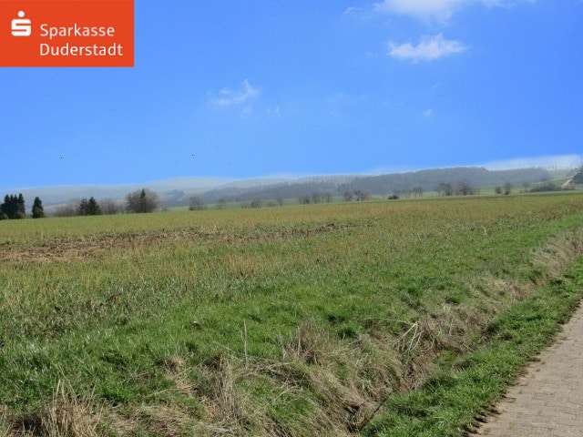 Freie Sicht auf den Harz - Grundstück in 37115 Duderstadt mit 825m² kaufen