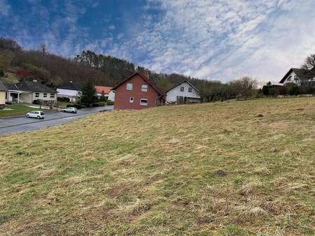 Der Hang muss geschickt genutzt werden - Grundstück in 37434 Rüdershausen mit 819m² kaufen