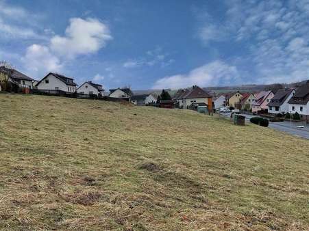 Viel Platz! - Grundstück in 37434 Rüdershausen mit 819m² kaufen