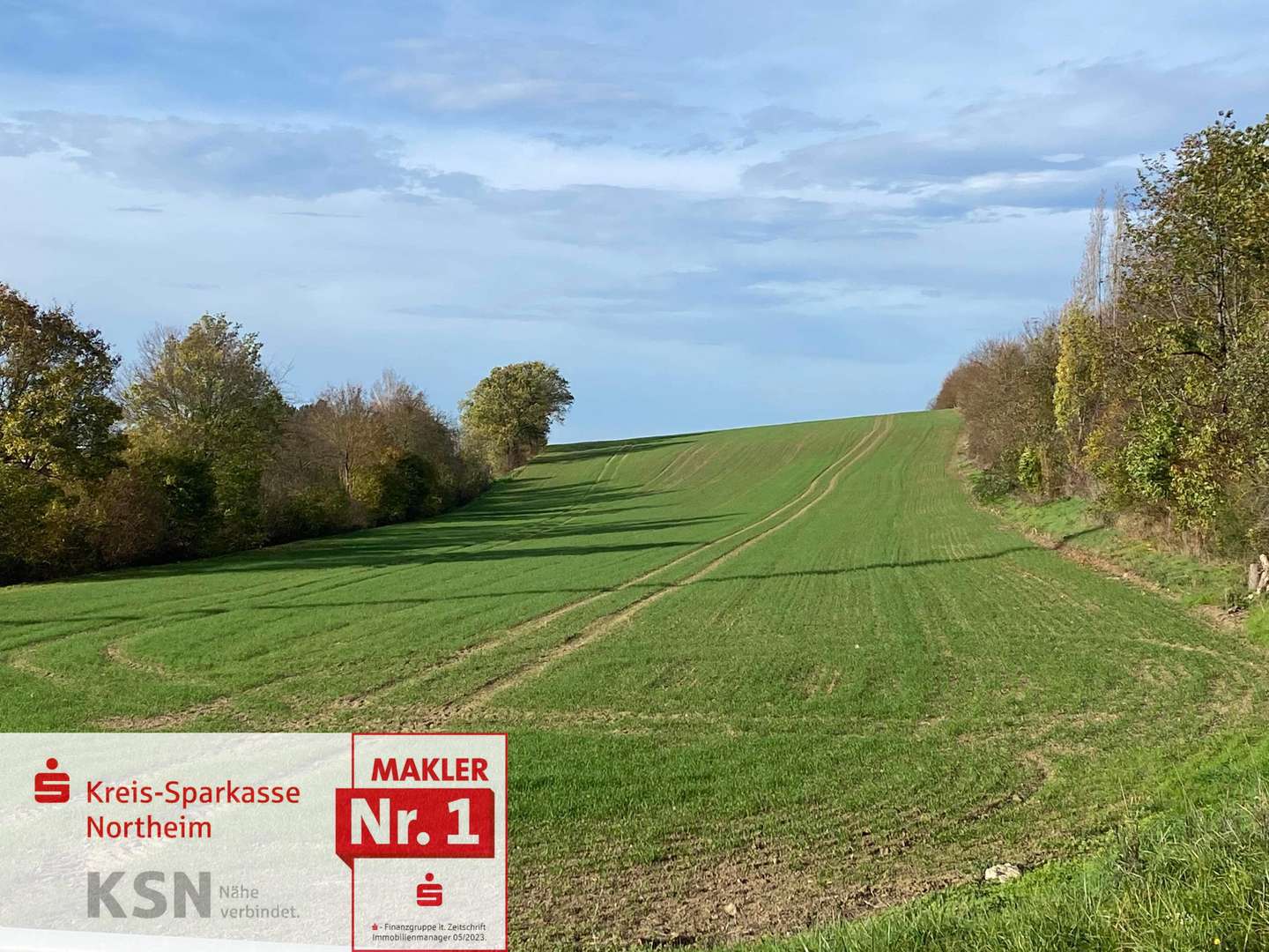 Ansicht Richtung Westen - Grundstück in 37154 Northeim mit 16621m² kaufen