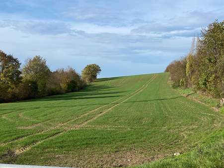 Ansicht Richtung Westen - Grundstück in 37154 Northeim mit 16621m² kaufen