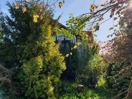 Garten - Einfamilienhaus in 37441 Bad Sachsa mit 130m² kaufen