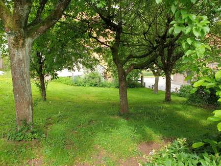 Außen Streuobstwiese Außen Streuobstwiese - Einfamilienhaus in 37431 Bad Lauterberg mit 150m² kaufen