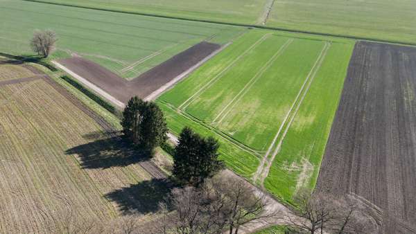 Grundstück in 49163 Bohmte mit 56841m² kaufen