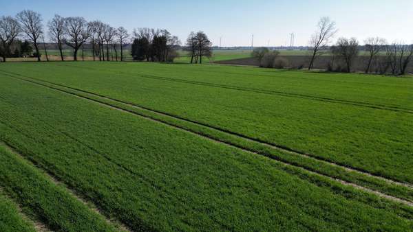 Grundstück in 49163 Bohmte mit 56841m² kaufen