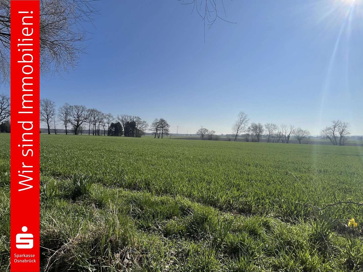 Grundstück in 49163 Bohmte mit 56841m² kaufen