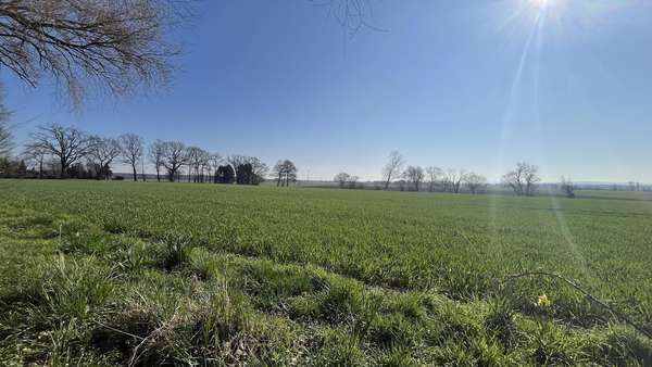 Grundstück in 49163 Bohmte mit 56841m² kaufen