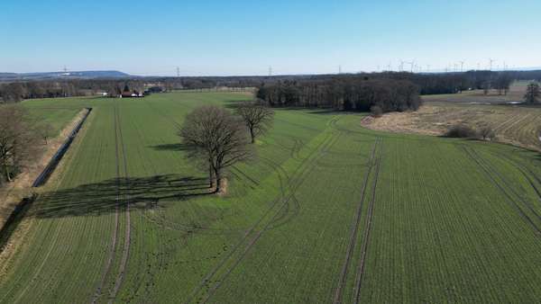 Übersicht Acker - Grundstück in 49163 Bohmte mit 180000m² kaufen
