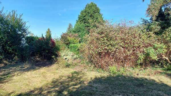 Impressionen Außenansicht Impressionen Außenansicht - Bungalow in 29229 Celle mit 51m² kaufen