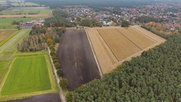 DJI_20241023143832_0017_D - Grundstück in 29308 Winsen mit 523m² kaufen