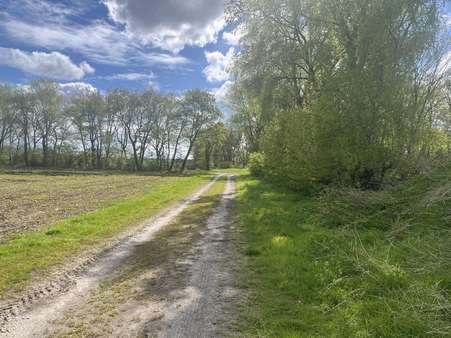 Flächenansicht - Grundstück in 49699 Lindern mit 56796m² kaufen