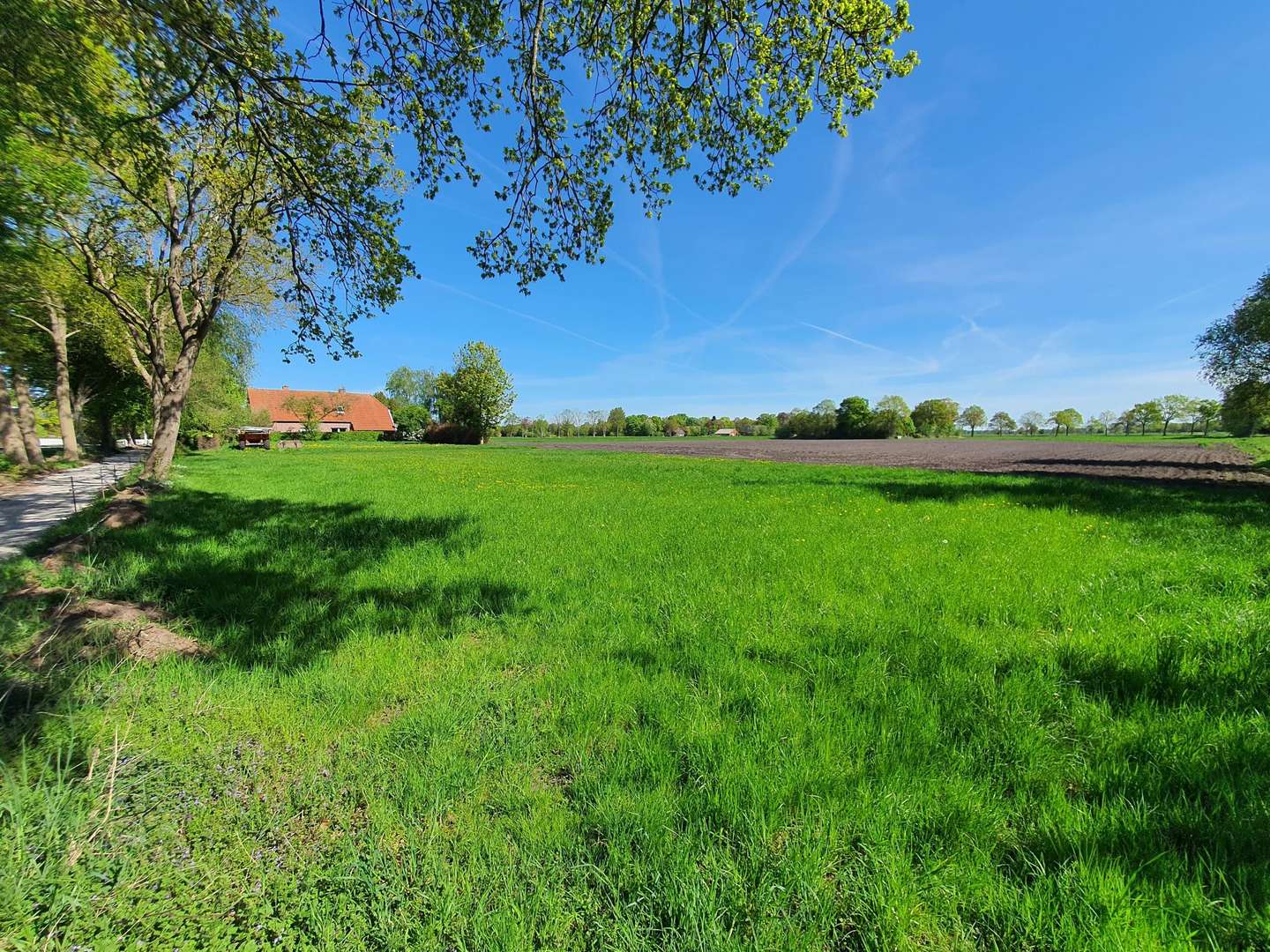 Baugrundstück Baugrundstück - Grundstück in 26629 Großefehn mit 700m² kaufen