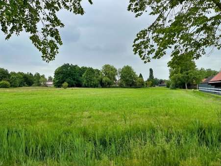Seitenansicht Seitenansicht - Grundstück in 26632 Ihlow mit 5796m² kaufen