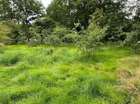 Obstbäume - Grundstück in 26624 Südbrookmerland mit 2995m² kaufen