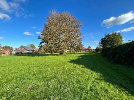 null - Grundstück in 26556 Westerholt mit 1790m² kaufen