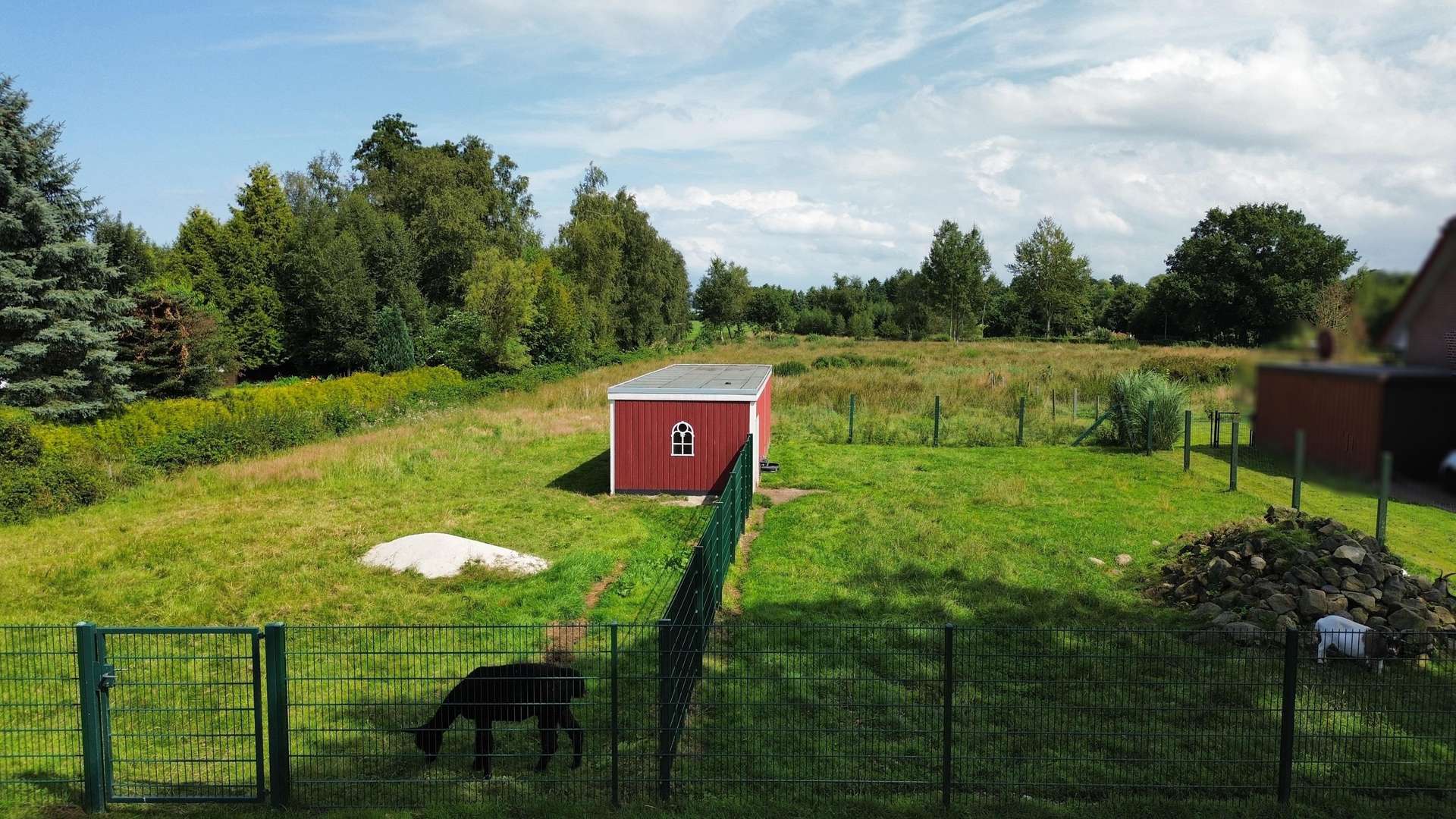 Vorderansicht - Grundstück in 26817 Rhauderfehn mit 1347m² kaufen