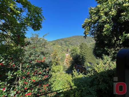 Ausblick  - Grundstück in 69121 Heidelberg-Handschuhsheim mit 876m² kaufen