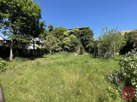 Rückansicht_Scheune Rückansicht_Scheune - Einfamilienhaus in 68519 Viernheim mit 180m² kaufen