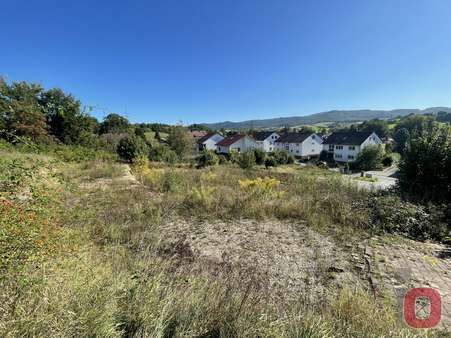 Ansicht1 - Grundstück in 69509 Mörlenbach mit 2066m² kaufen