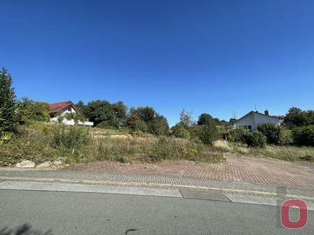 Ansicht2 - Grundstück in 69509 Mörlenbach mit 2066m² kaufen