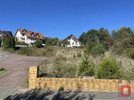 Ansicht3 - Grundstück in 69509 Mörlenbach mit 2066m² kaufen