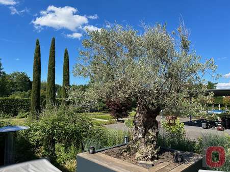 Garten - Villa in 68519 Viernheim mit 487m² kaufen