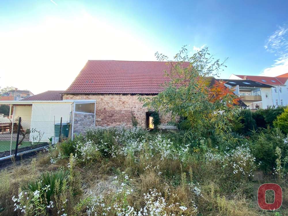 Scheune mit Garten - Grundstück in 68519 Viernheim mit 705m² günstig kaufen