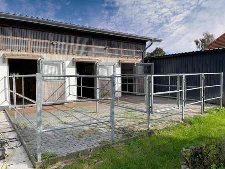 Stall mit Paddock - Einfamilienhaus in 27639 Wurster Nordseeküste mit 140m² kaufen