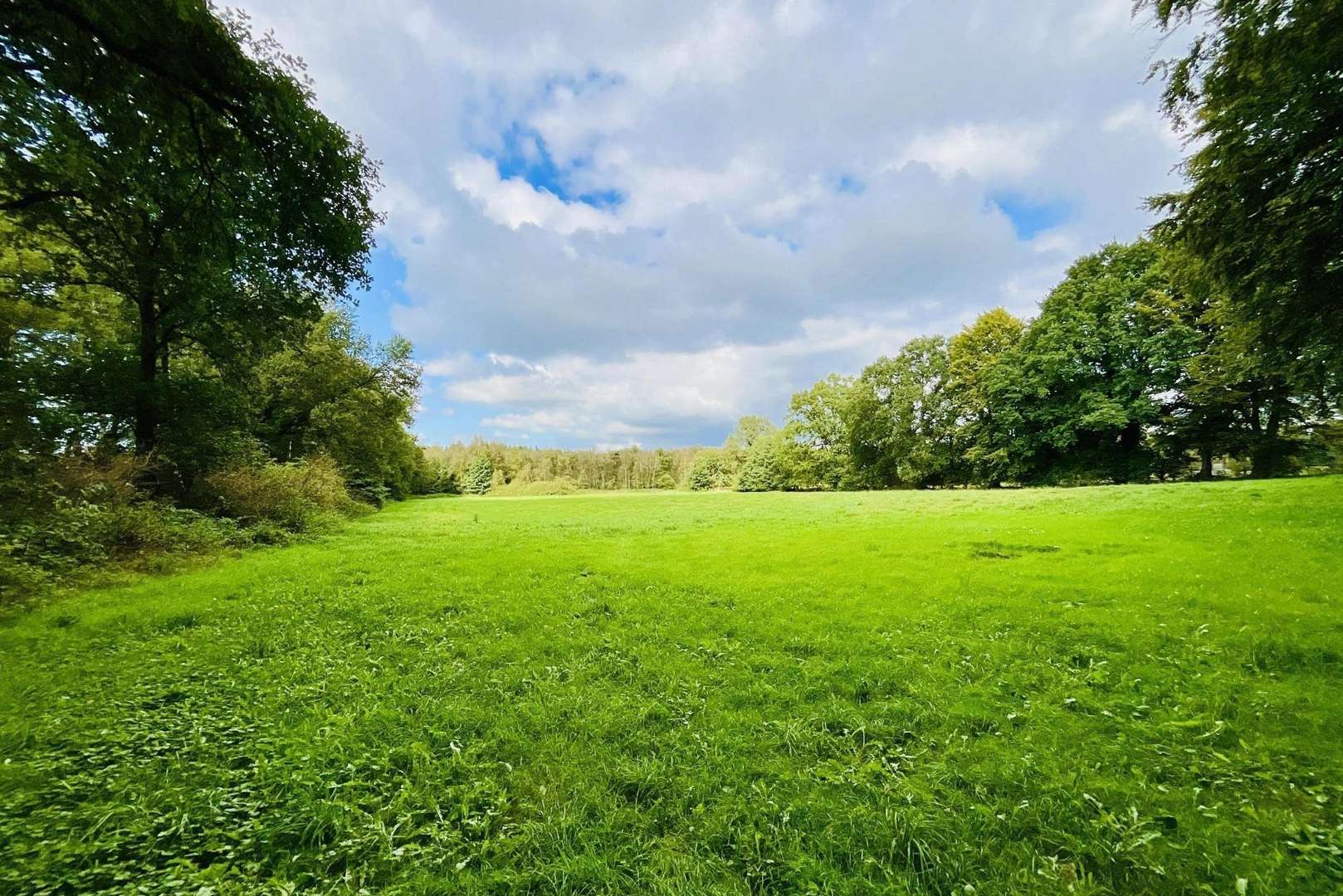 Grünfläche - Grundstück in 27628 Hagen mit 27992m² kaufen