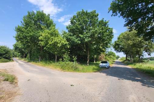 Grundstück - Grundstück in 27616 Beverstedt mit 2621m² kaufen