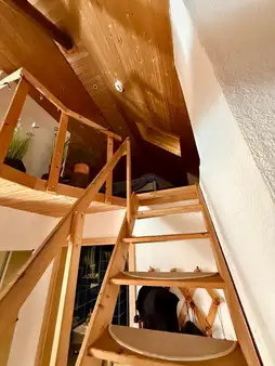 Dachgeschosswohnung in unmittelbarer Uni-Nähe!