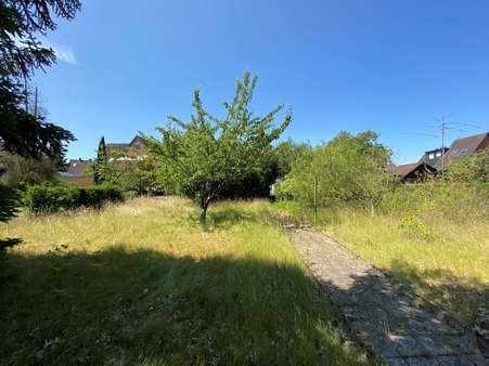 Garten 2 Garten 2 - Einfamilienhaus in 40468 Düsseldorf mit 110m² kaufen