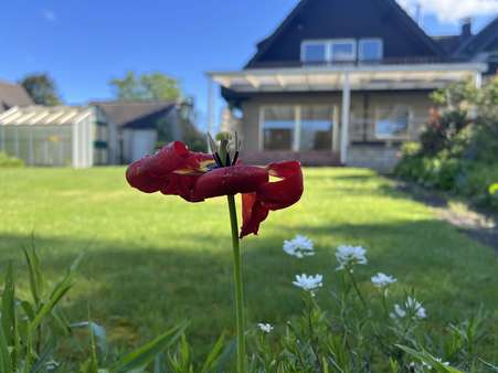 Frühlingsimpression - Einfamilienhaus in 47809 Krefeld mit 157m² kaufen