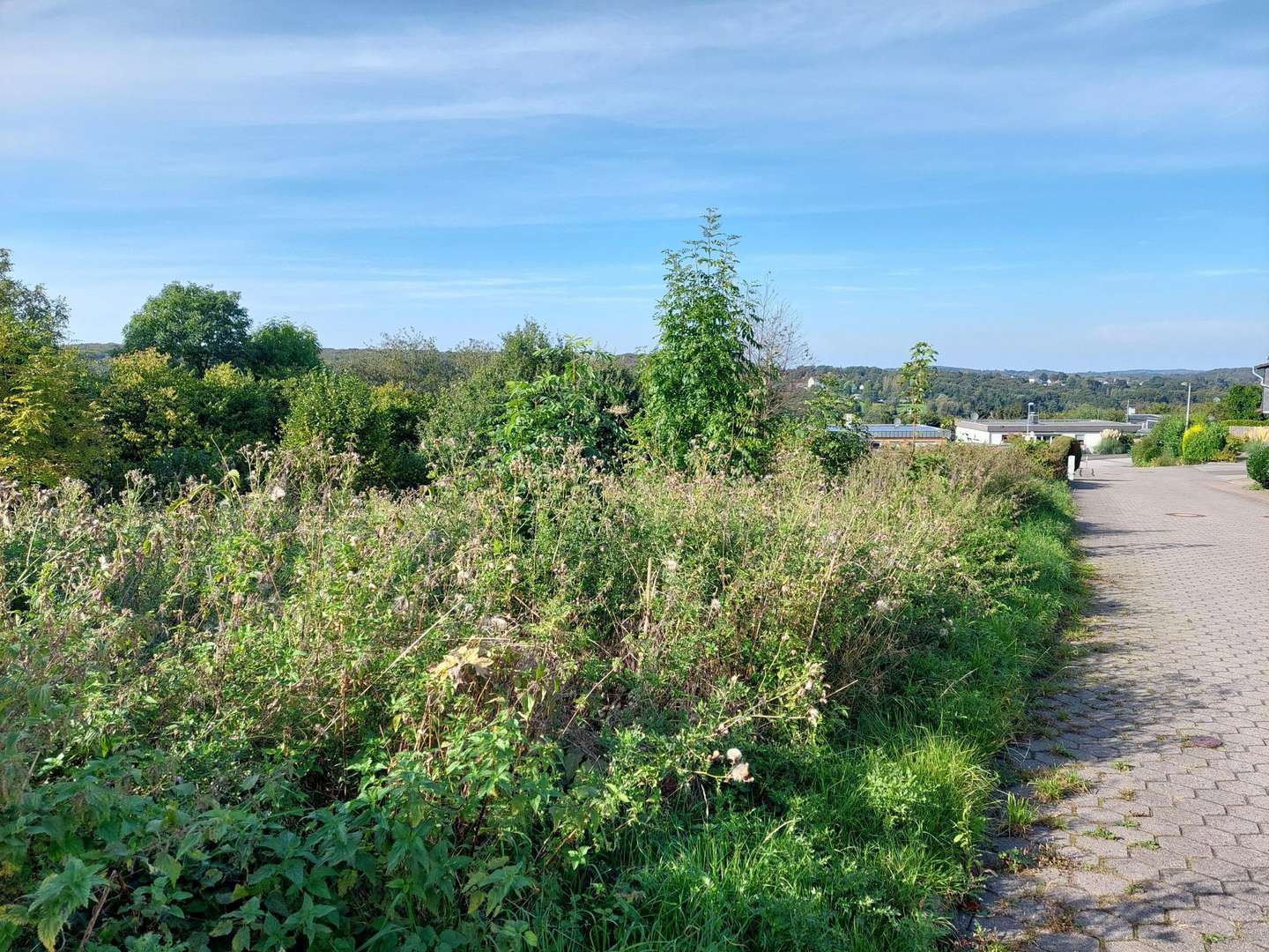 Grundstück in 58332 Schwelm mit 503m² kaufen