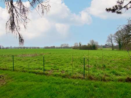 Ausblick vom Garten - Einfamilienhaus in 47475 Kamp-Lintfort mit 269m² kaufen